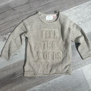 Boys 12-18 month ZARA knit wear